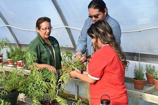 University of Arkansas Indigenous Food and Agriculture Initiative (IFAI)