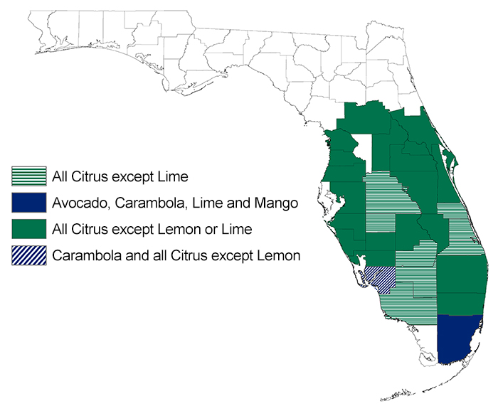 Florida Fruit Tree Availability Map