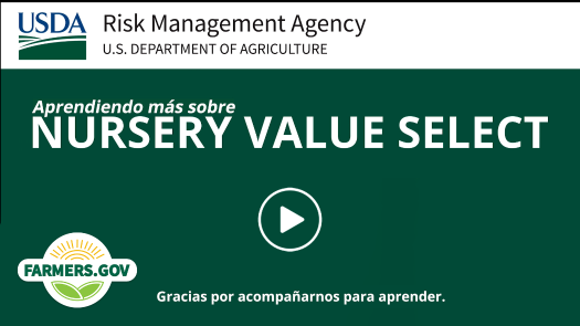 Más información sobre Nursery Value Select en español
