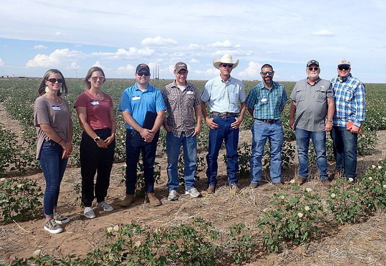 Eight people standing in crop field