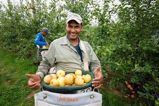 Adams County Nursery in Aspers, Pennsylvania