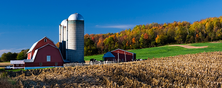 Red barn with blue sky