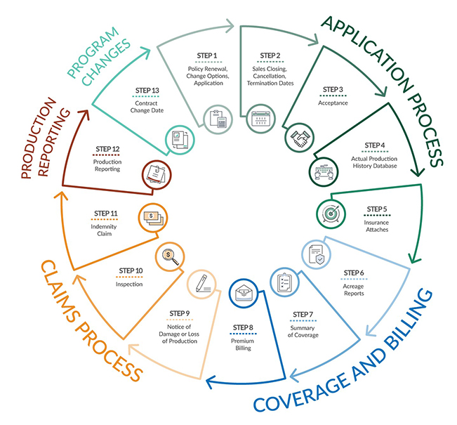 RMA Insurance Cycle image