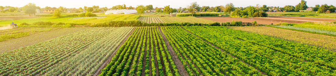 Small diversified farm