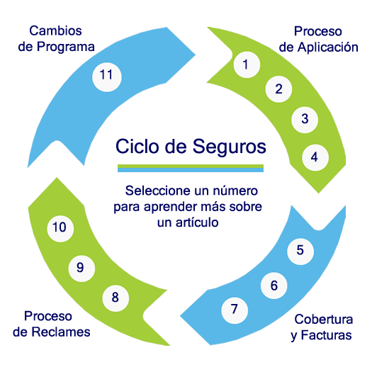 Insurance cycle chart in Spanish