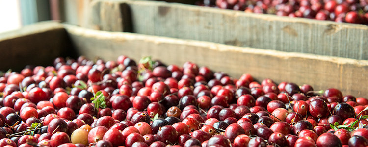 Cranberries