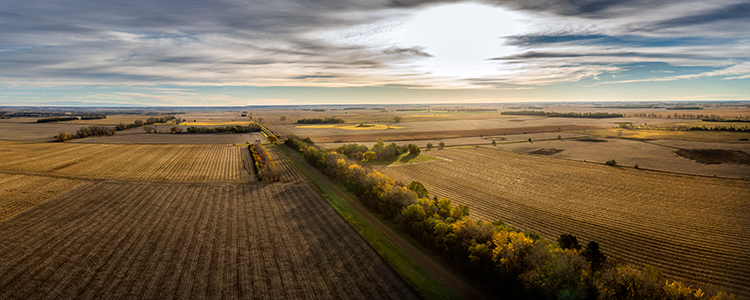 Aerial photo of crop fields